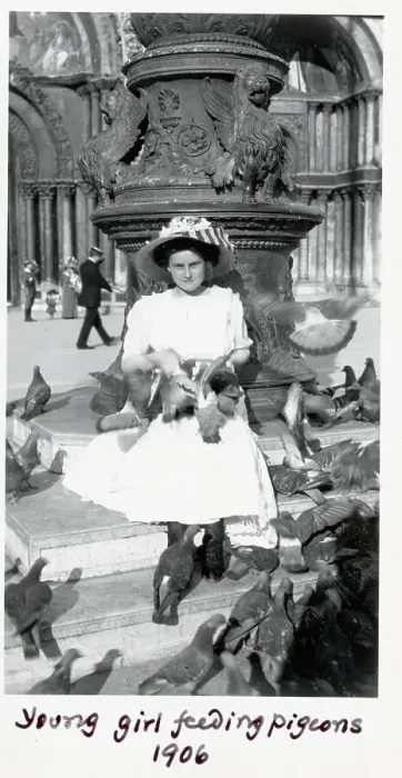 Framed Print : Girl Feeding Pigeons Framed Print : Girl Feeding Pigeons