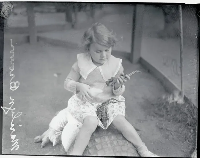 Framed Print : Girl Feeding Young Alligator with Small Bottle Framed Print : Girl Feeding Young Alligator with Small Bottle