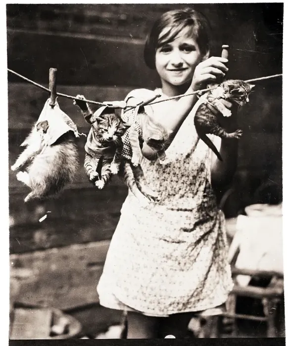 Framed Print : Girl Hanging Kittens on Clothesline