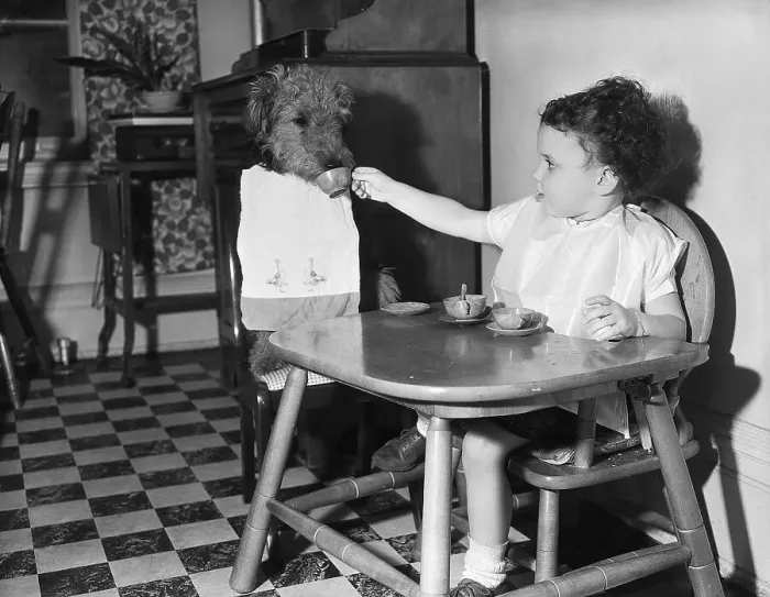 Framed Print : Girl Having Tea with Her Pet Dog Framed Print : Girl Having Tea with Her Pet Dog