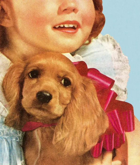 Framed Print : Girl Holding Cocker Spaniel Dog Framed Print : Girl Holding Cocker Spaniel Dog