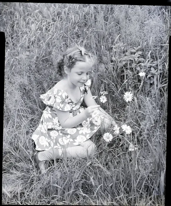Framed Print : Girl Picking Daisies Framed Print : Girl Picking Daisies