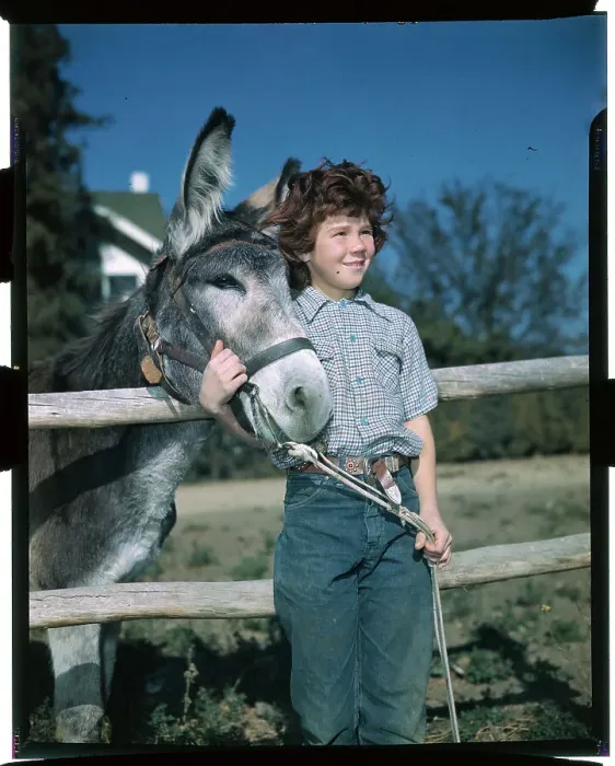 Framed Print : Girl Posing with a Mule Framed Print : Girl Posing with a Mule