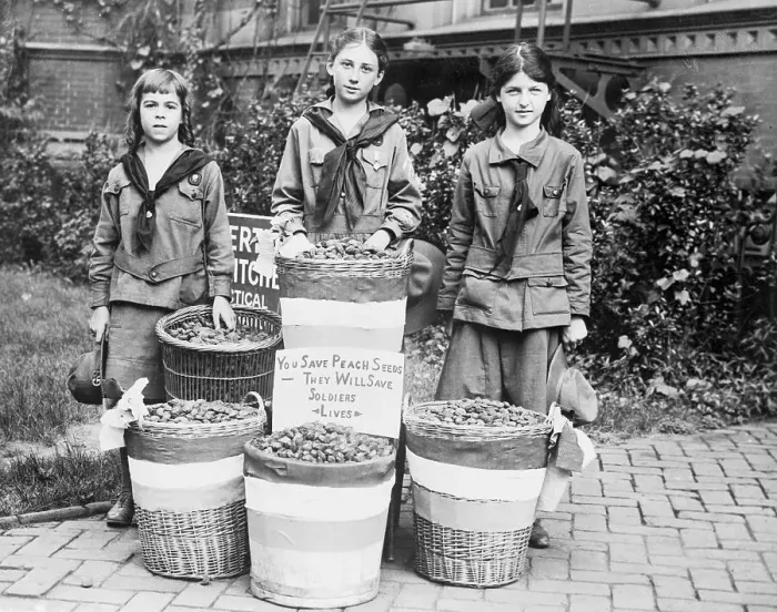 Framed Print : Girl Scouts Collecting Peach Seeds