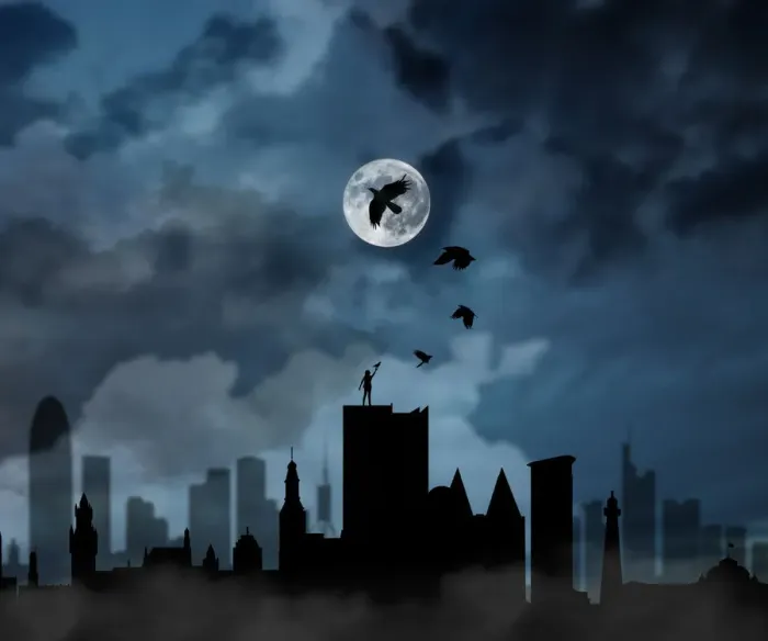 Framed Print : Girl send bird to the moon on the rooftop Framed Print : Girl send bird to the moon on the rooftop