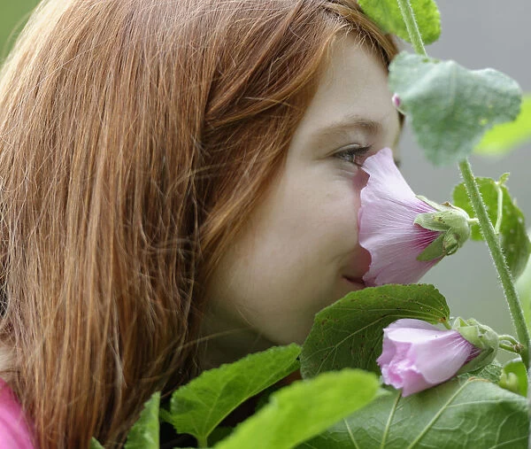 Girl smelling a Hollyhock -Alcea rosea-