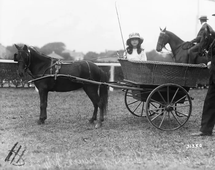 Framed Print : Girl Standing In Cart Attached To Horse Framed Print : Girl Standing In Cart Attached To Horse