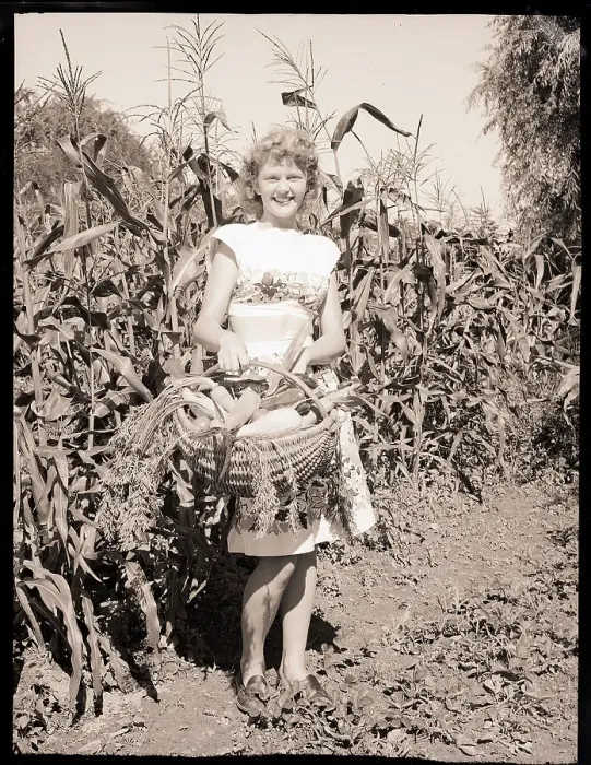 Framed Print : Girl Standing in Corn Field with Basket Framed Print : Girl Standing in Corn Field with Basket