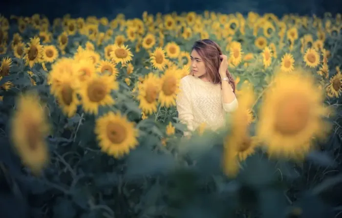 Framed Print : A girl in sunflower field Framed Print : A girl in sunflower field