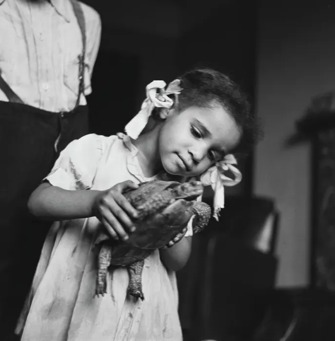 Framed Print : Girl With Tortoise Framed Print : Girl With Tortoise