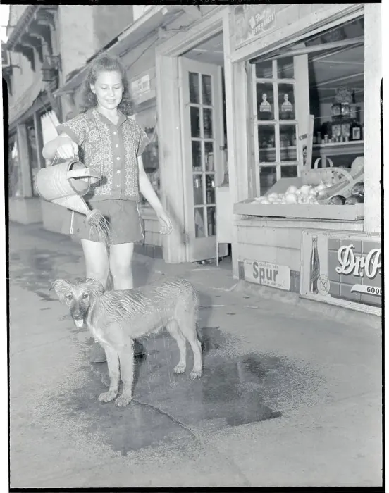 Framed Print : Girl Using Watering Pot to Cool Her Dog from the Heat Framed Print : Girl Using Watering Pot to Cool Her Dog from the Heat