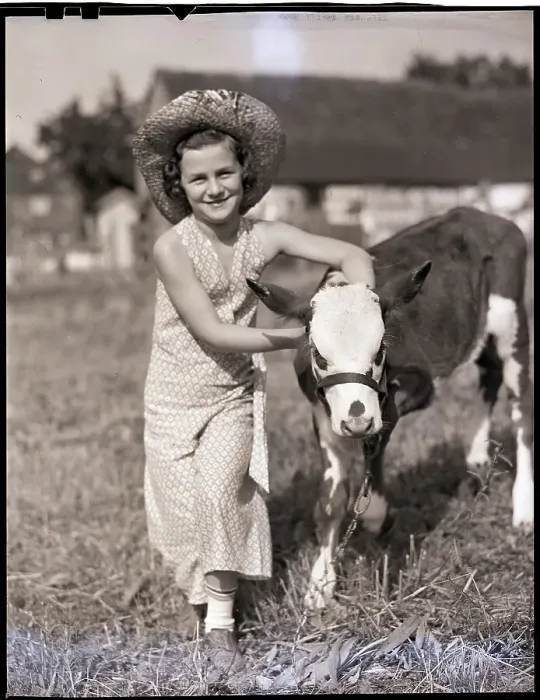 Framed Print : Girl Walking With Calf