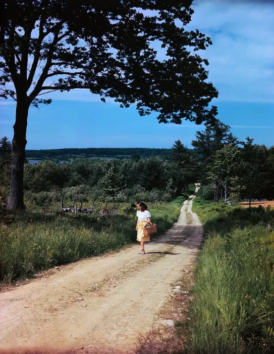 Framed Print : Girl Walking on Winding Country Road