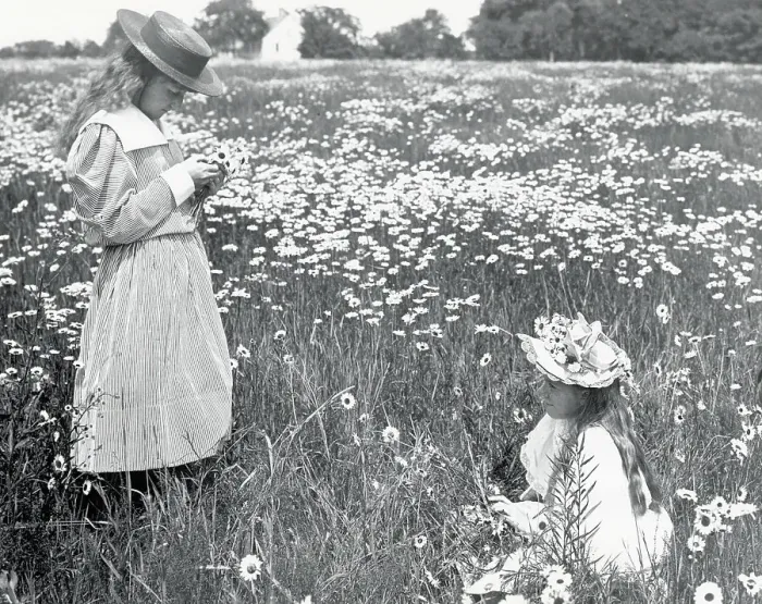 Framed Print : Two Girls in Field of Daisies Framed Print : Two Girls in Field of Daisies