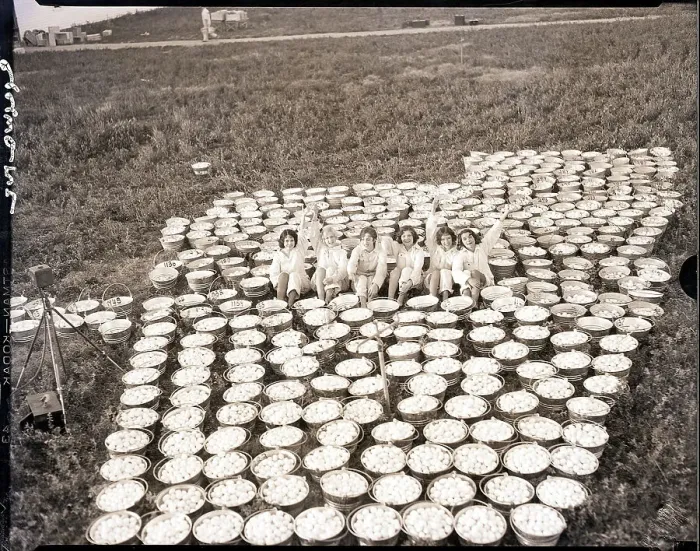Framed Print : Girls In Field Surrounded / Buckets / Eggs Framed Print : Girls In Field Surrounded / Buckets / Eggs