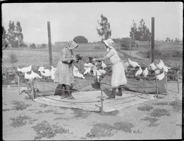 Framed Print : Girls Holding their Fighting Cocks Framed Print : Girls Holding their Fighting Cocks