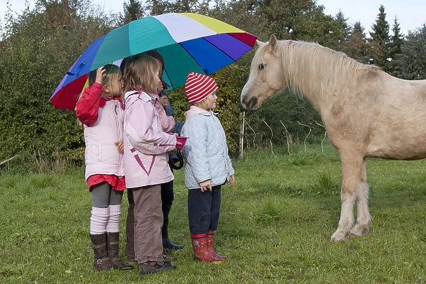 Girls with a large umbrella looking at a horse