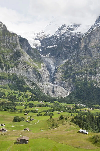 Glacier Tongue, Upper Grindelwald Glacier, Alpine meadow, Grindelwald, Bernese Oberland, Canton of Bern, Alps, Switzerland, Europe