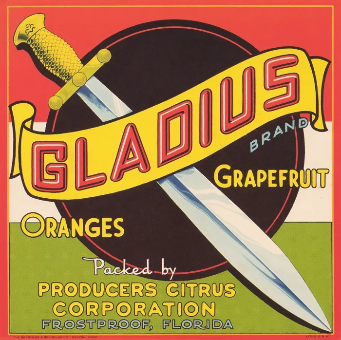 Framed Print : Gladius Brand Framed Print : Gladius Brand