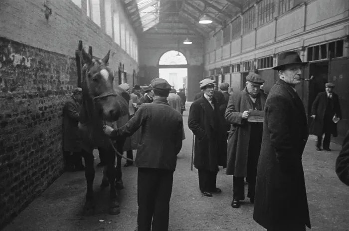 Framed Print : Glaswegian Horse Traders Framed Print : Glaswegian Horse Traders