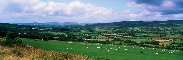 Glenelly Valley, Sperrin Mountains, County Tyrone, Ireland