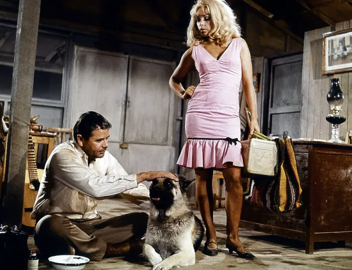 Framed Print : Glenn Ford And Stella Stevens In Rage Framed Print : Glenn Ford And Stella Stevens In Rage