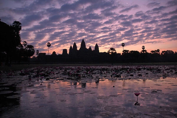 The glory of Angkor Wat