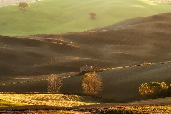 Glowing Autumn light on Val D Orcia hills