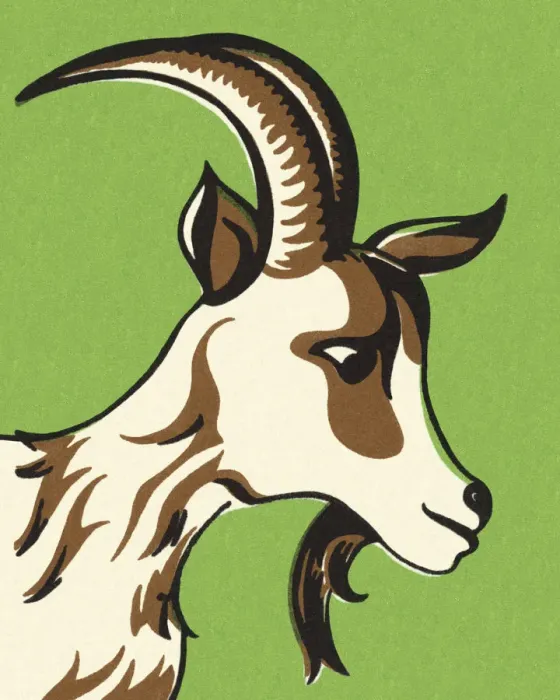 Framed Print : Goat with Horns Framed Print : Goat with Horns