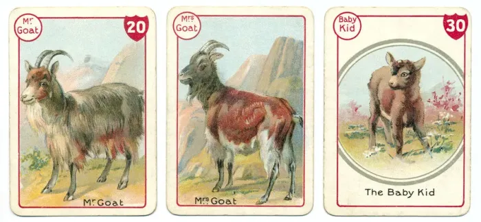 Framed Print : Three goat playing cards Victorian animal families game Framed Print : Three goat playing cards Victorian animal families game