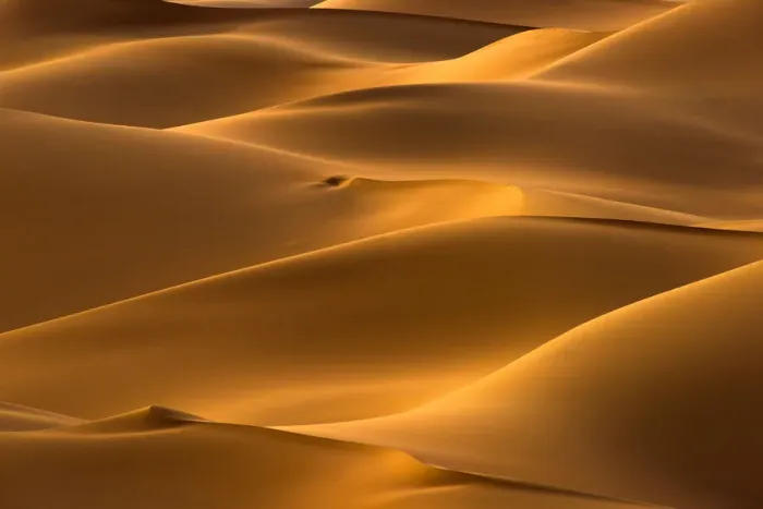 Framed Print : Gobi Desert, Mongolia