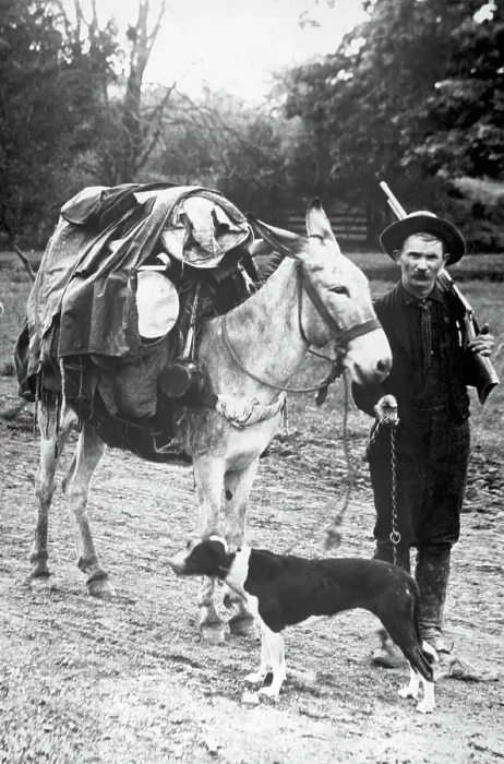 Framed Print : Gold Prospector with Pack Mule and Dog Framed Print : Gold Prospector with Pack Mule and Dog
