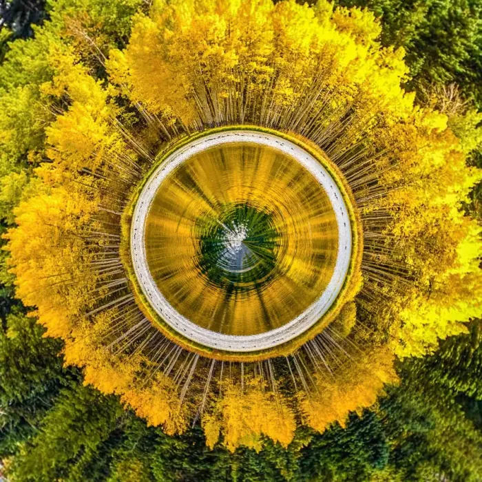 Framed Print : Golden Aspens Tiny Planet Framed Print : Golden Aspens Tiny Planet
