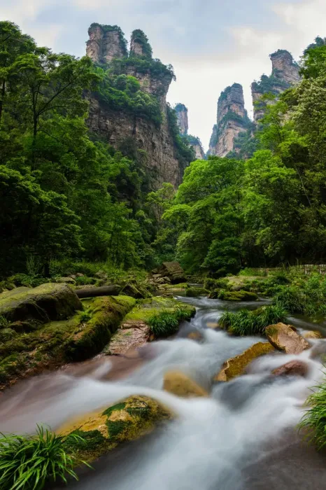 Framed Print : Golden Whip Stream, Zhangjiajie, Hunan, China Framed Print : Golden Whip Stream, Zhangjiajie, Hunan, China