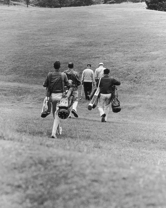 Framed Print : Golf Buddies Framed Print : Golf Buddies