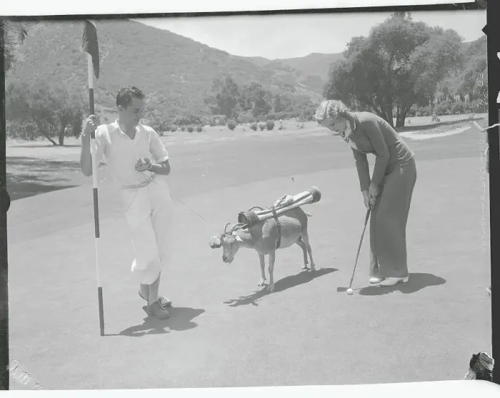 Framed Print : Golfers with Goat Caddie Framed Print : Golfers with Goat Caddie
