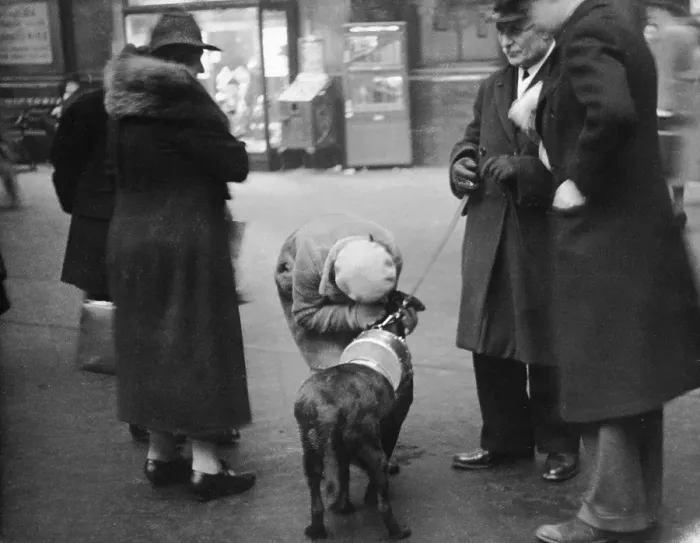 Framed Print : Good Dog. A dog with a charity collecting tin on its back receives a hug Framed Print : Good Dog. A dog with a charity collecting tin on its back receives a hug