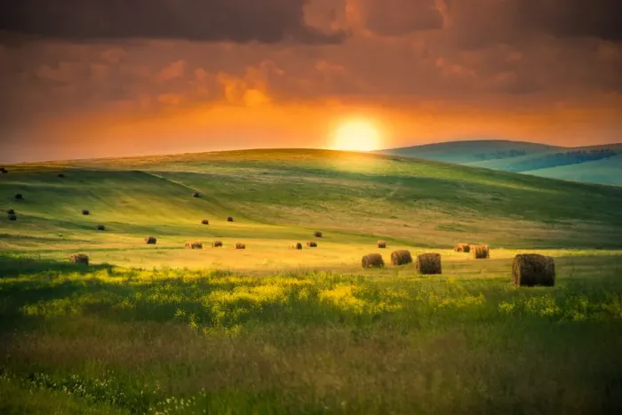 Framed Print : Good Morning Siberia