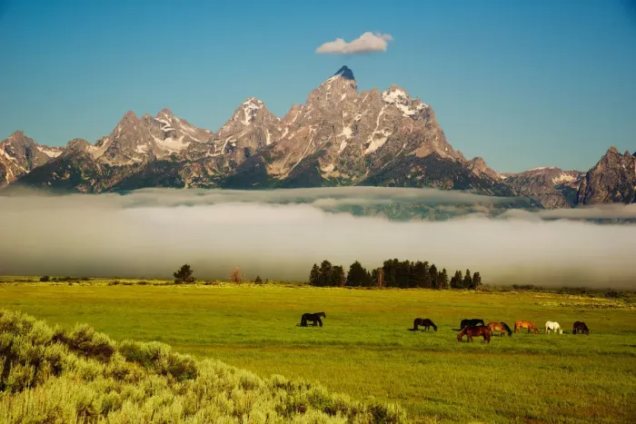Framed Print : Good Morning Teton Framed Print : Good Morning Teton