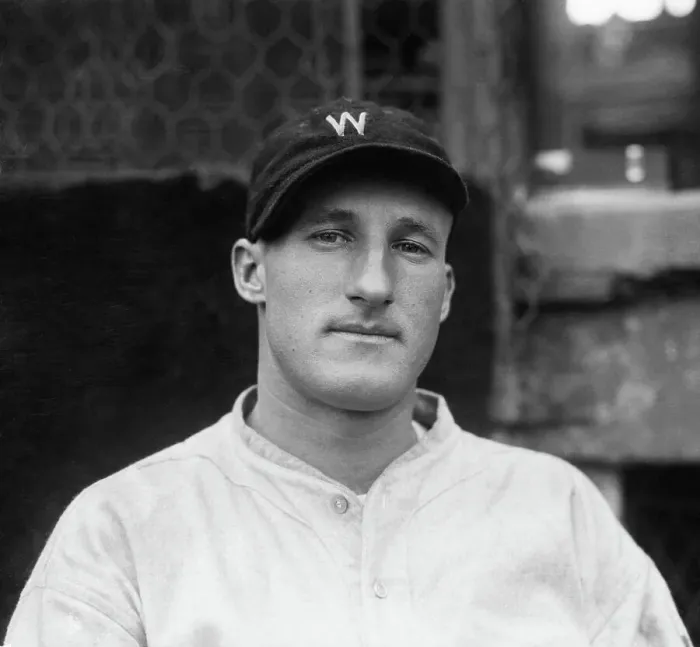 Framed Print : Goose Goslin