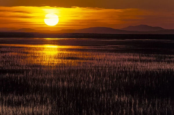 Goose Lake at sunset, Stillwater National Wildlife Refuge, Nevada, USA