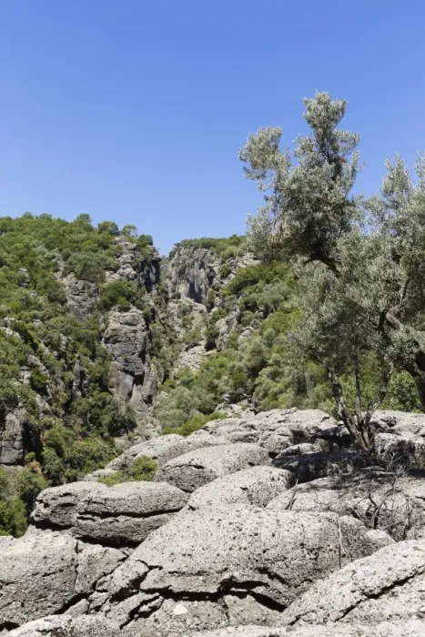 Framed Print : Gorge, Taurus Mountains, Koepruelue Canyon National Park, Antalya Province, Turkey Framed Print : Gorge, Taurus Mountains, Koepruelue Canyon National Park, Antalya Province, Turkey
