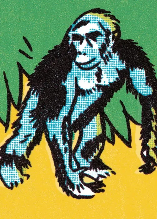 Framed Print : Gorilla. http: /  / csaimages.com / images / istockprofile / csa_vector_dsp.jpg