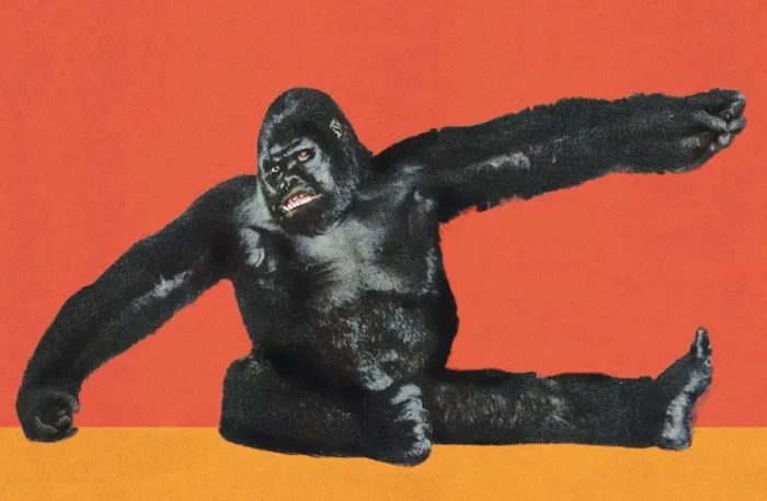 Framed Print : Gorilla. http: / / csaimages.com / images / istockprofile / csa_vector_dsp.jpg Framed Print : Gorilla. http: / / csaimages.com / images / istockprofile / csa_vector_dsp.jpg