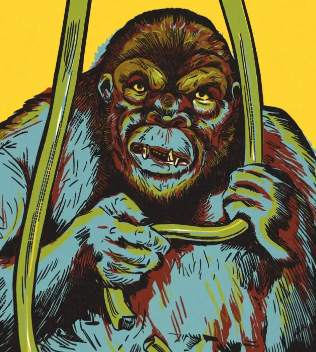 Framed Print : Gorilla. http: / / csaimages.com / images / istockprofile / csa_vector_dsp.jpg Framed Print : Gorilla. http: / / csaimages.com / images / istockprofile / csa_vector_dsp.jpg