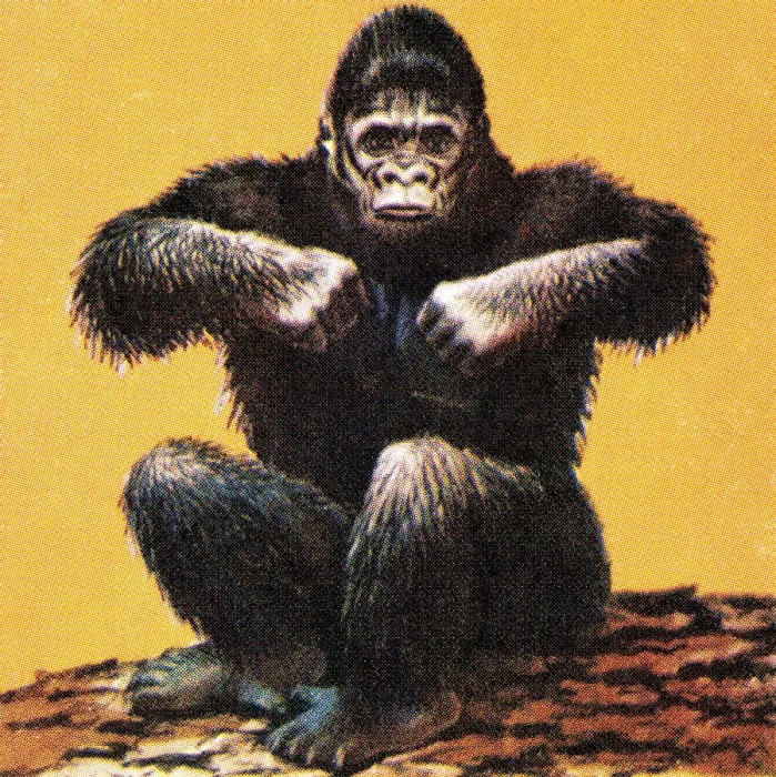 Framed Print : Gorilla. http: /  / csaimages.com / images / istockprofile / csa_vector_dsp.jpg
