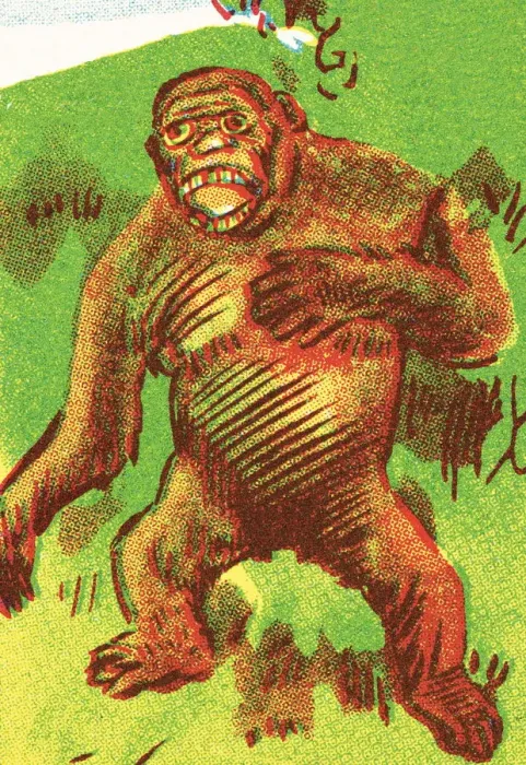 Framed Print : Gorilla. http: /  / csaimages.com / images / istockprofile / csa_vector_dsp.jpg