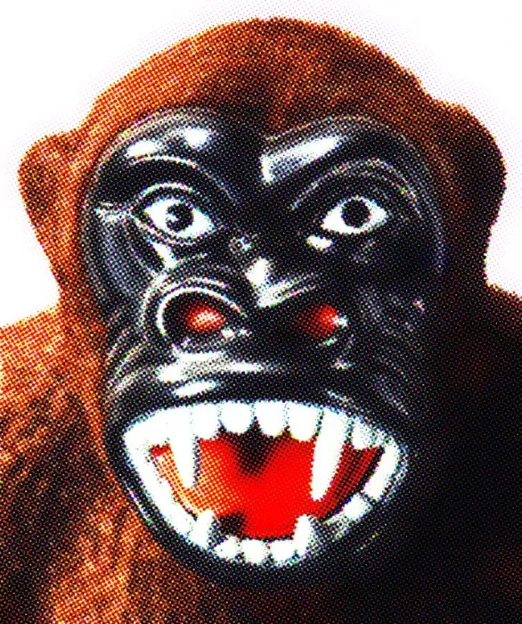 Framed Print : Gorilla Close Up Framed Print : Gorilla Close Up