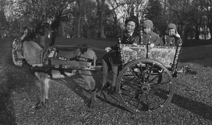 Framed Print : Gov. Vanderbilt'S Kids In Cart / Donkey Framed Print : Gov. Vanderbilt'S Kids In Cart / Donkey
