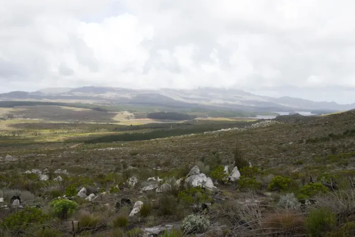 Framed Print : Grabouw side of the Hottentot Holland mountains not far from N2 and Sir Lowrys Pass, looking towards Kogelberg Biosphere Reserve and the Steenbras dam, Western Cape, South Africa Framed Print : Grabouw side of the Hottentot Holland mountains not far from N2 and Sir Lowrys Pass, looking towards Kogelberg Biosphere Reserve and the Steenbras dam, Western Cape, South Africa